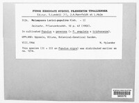 Image Associated With the Occurence